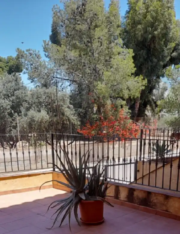 Jardí de Dúplex en venda en Orihuela amb Aire condicionat