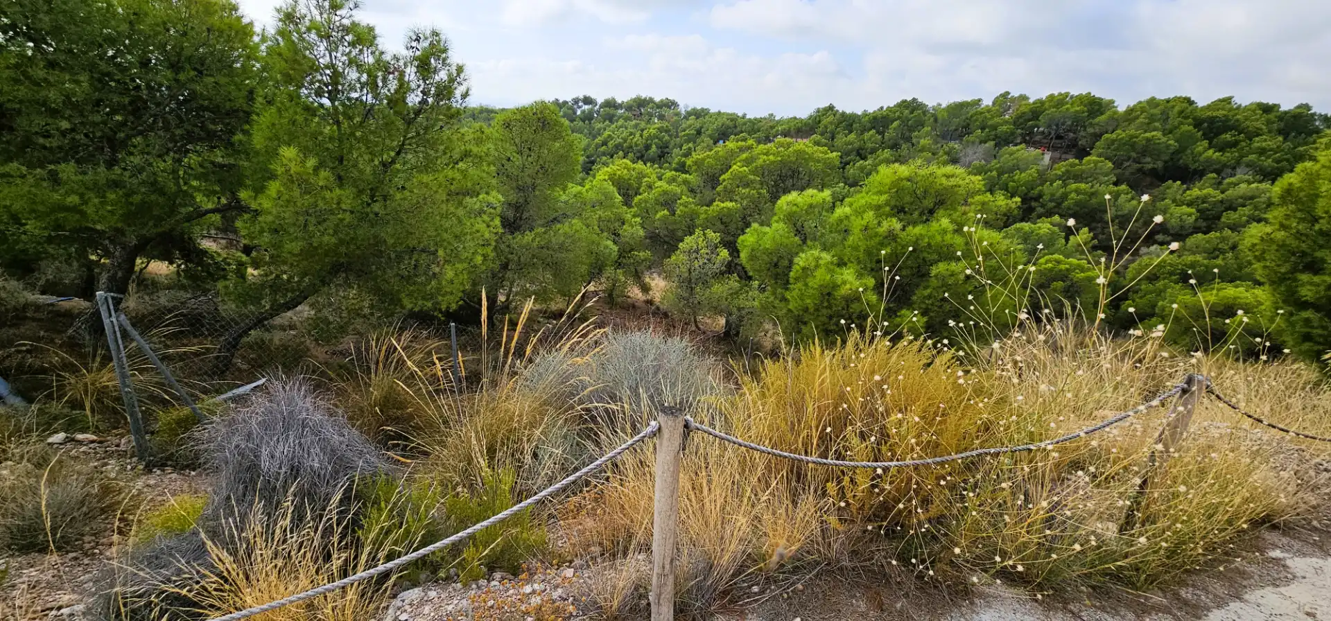 Casa o chalet en venta en Totana con Calefacción, Jardín privado y Terraza