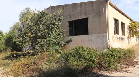 Nave Agricola, en terreno rustico en el Municipio de Algaida, immagine 4