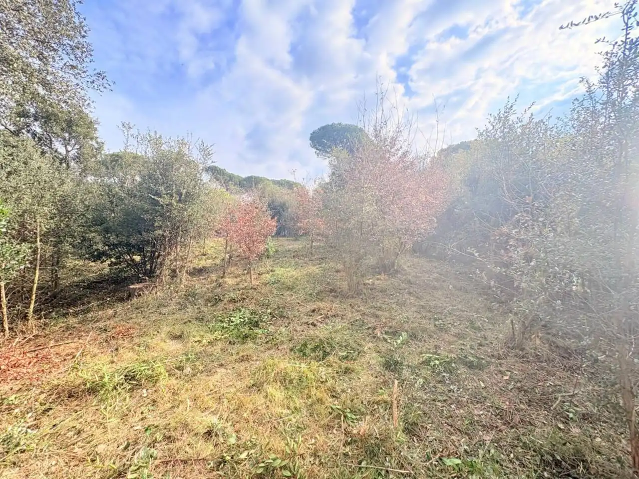Residential for sale in Caldes de Malavella