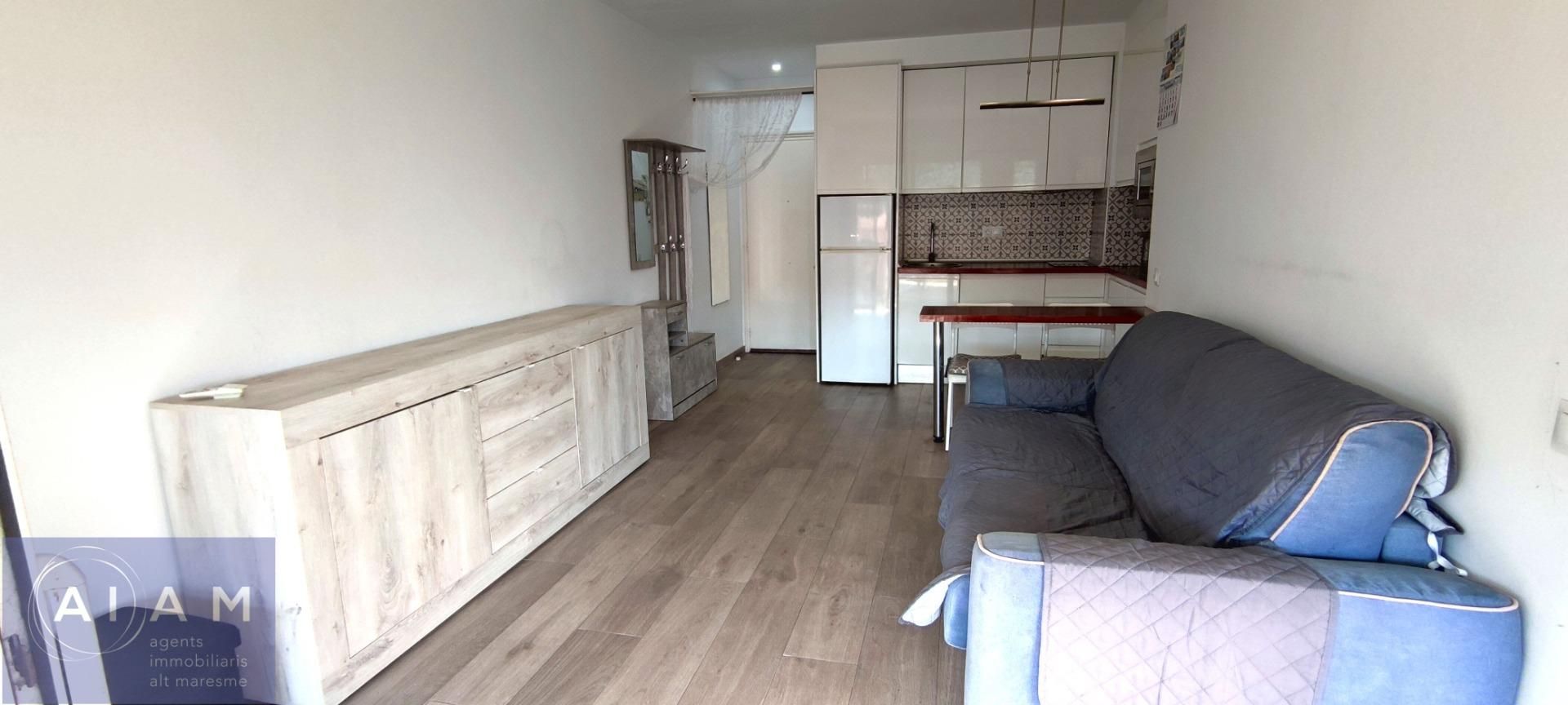 Sala d'estar de Apartament en venda en Pineda de Mar amb Aire condicionat, Terrassa i Balcó