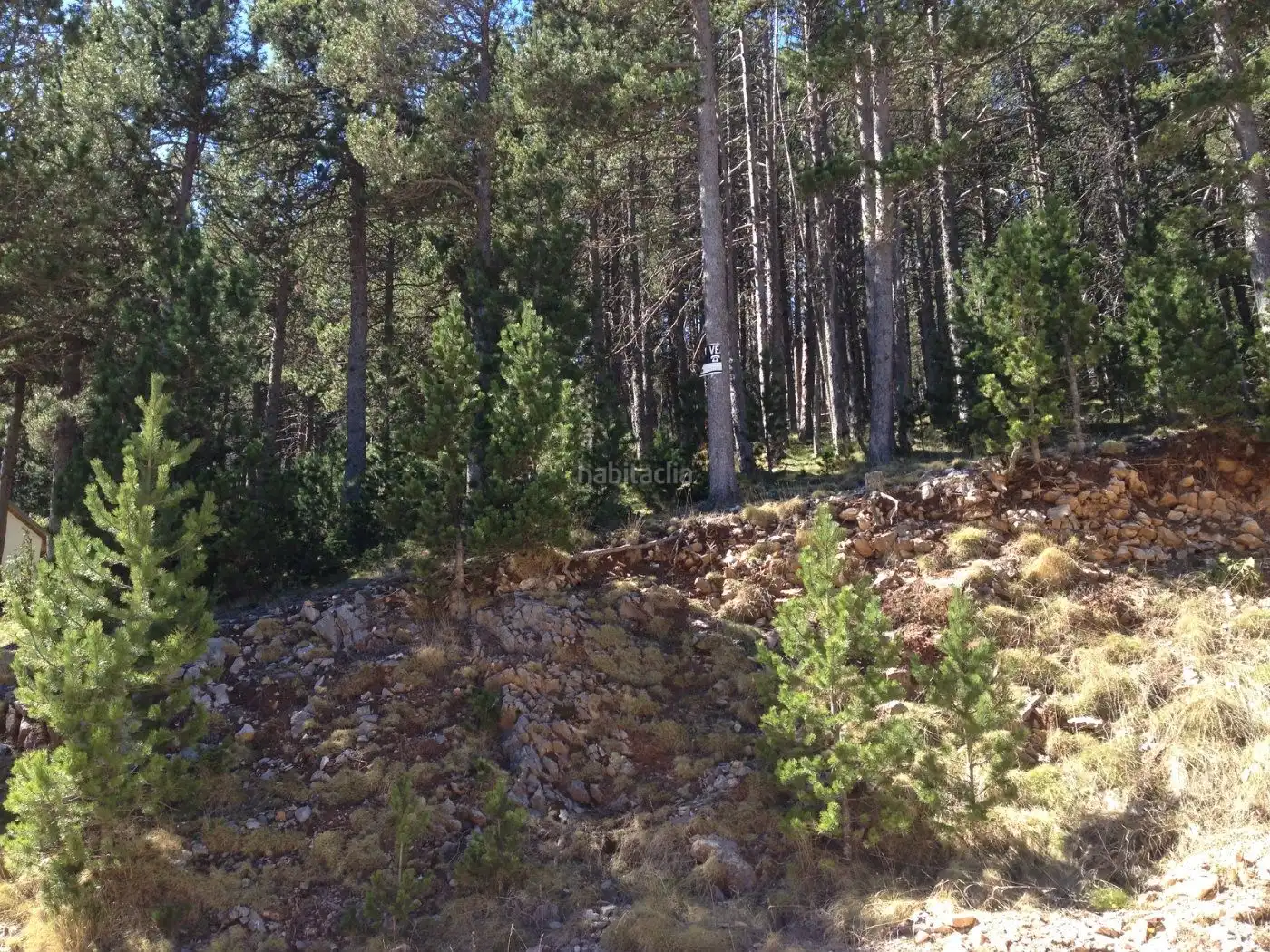 Terreno residencial en venta en Carrer Major 6B, imagen 2