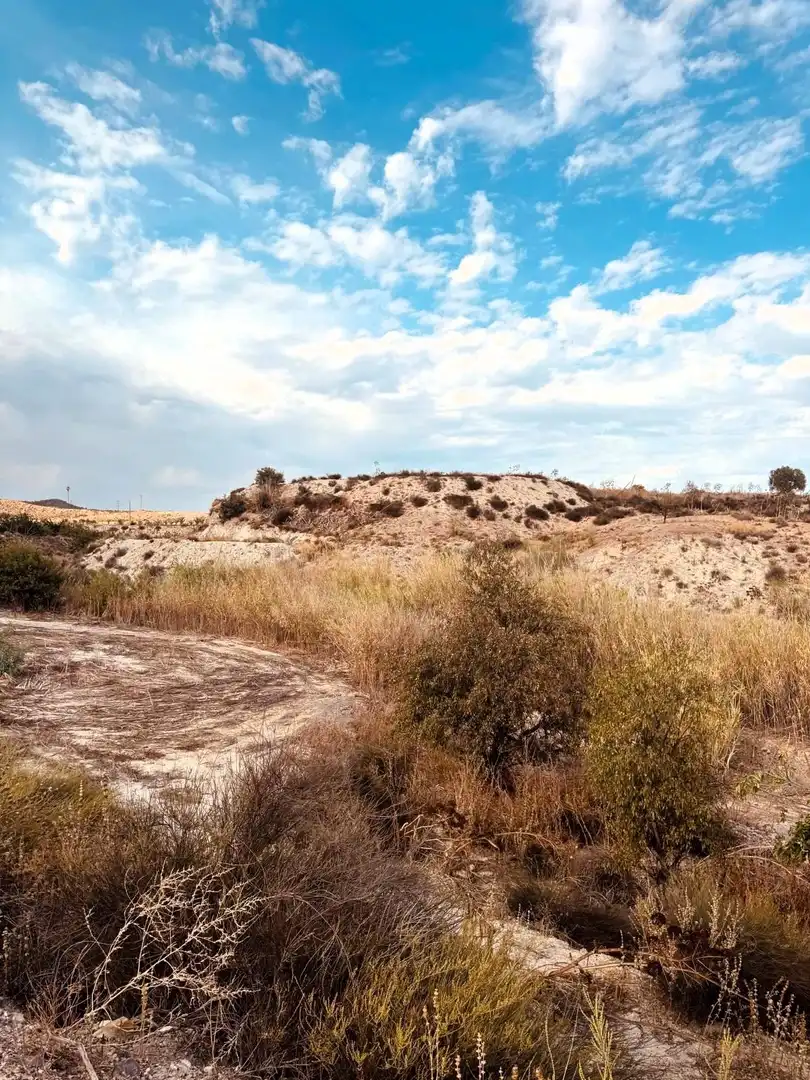 Terrain rustique à vendre à Campo de Murcia, imagen 14