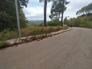 Terreno residenziale in vendita a Avinguda de les Cases Pairals 191