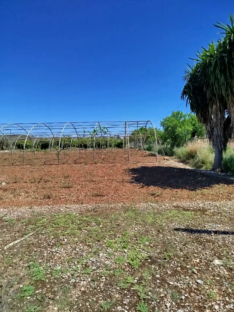 Terreno residencial en venta en Pueblo, imagen 61