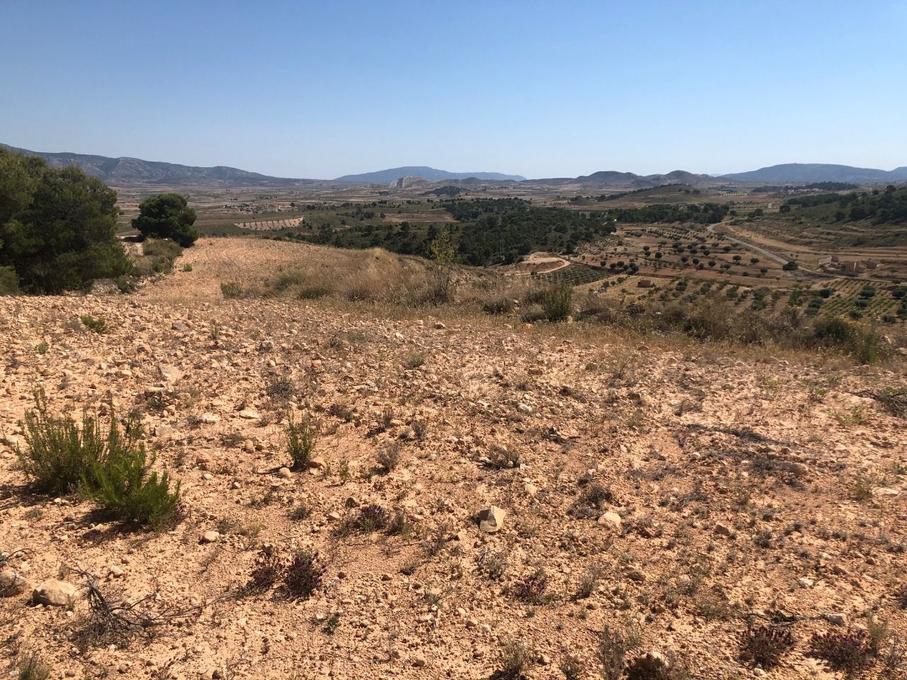 Residencial en venda en La Zarza (Badajoz)