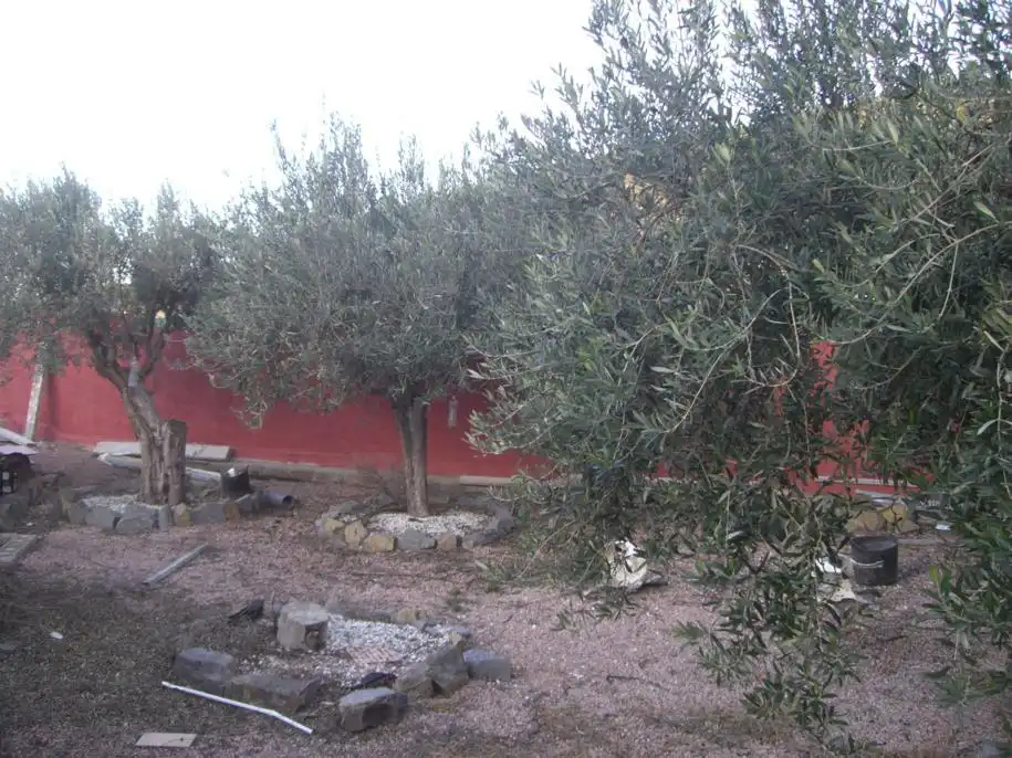 Villa à vendre à El Secanet - Hacienda del Sol, imagen 39