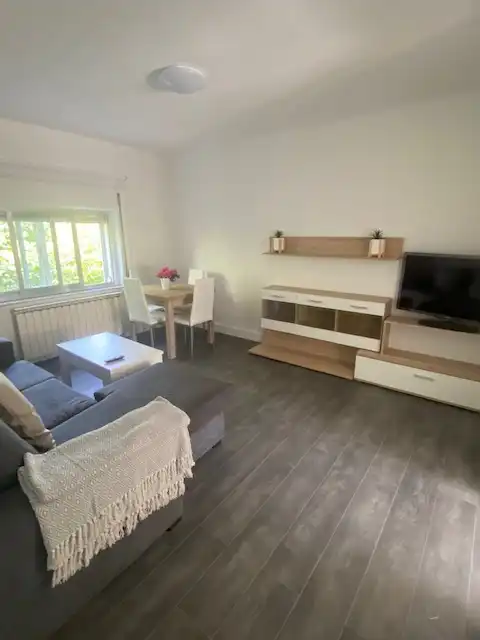 Living room of Flat for rent in Salamanca  with Heating, Parquet flooring and Furnished