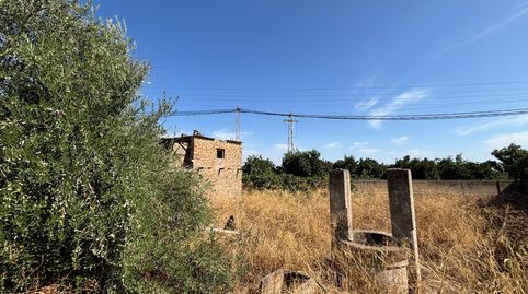 Foto 3 de Terreny industrial en venda a La Algaba, Sevilla