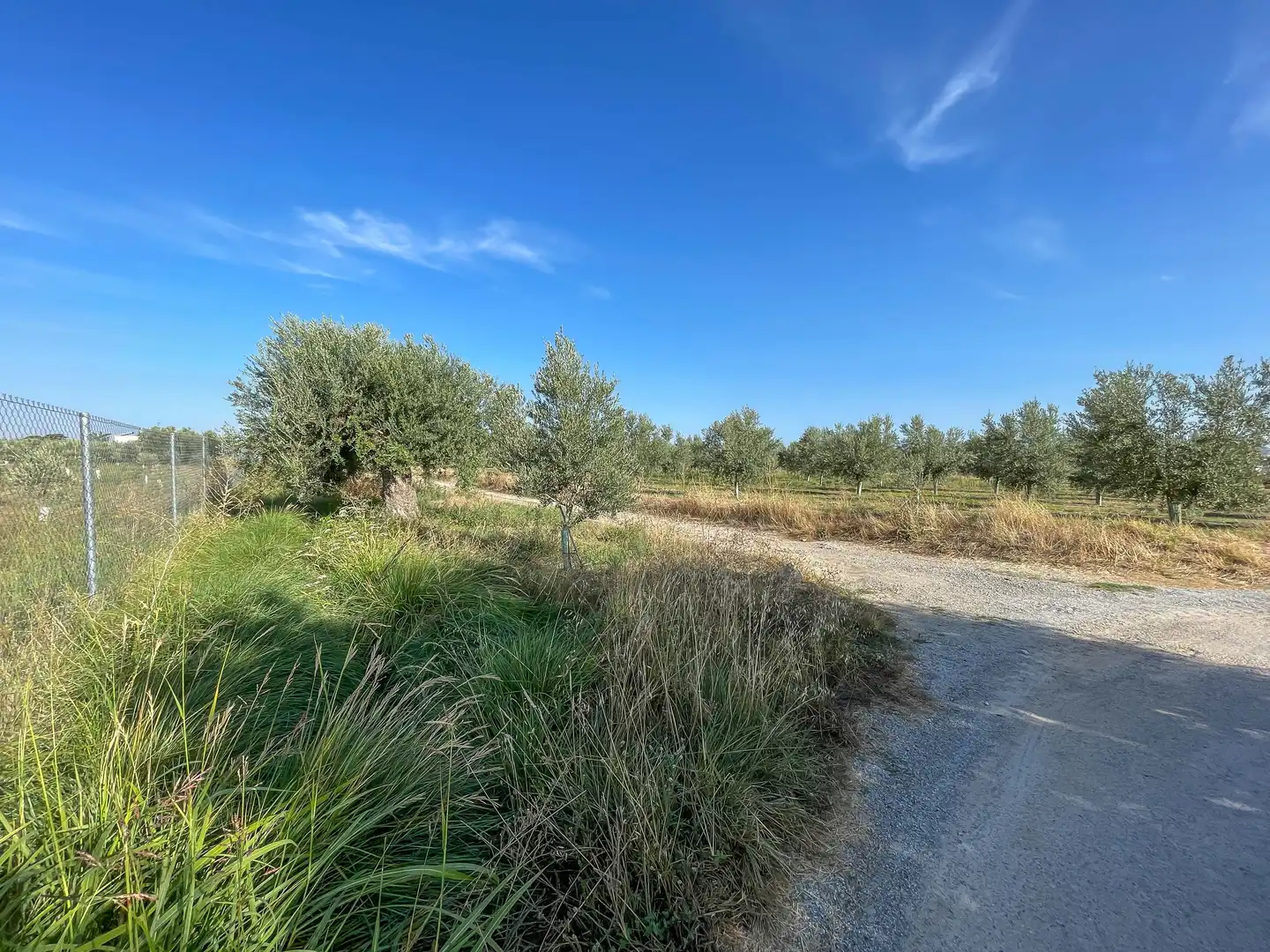 Terreni e lotti in vendita a Villa de Otura, imagen 19