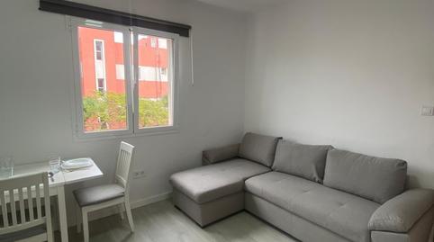 Foto 2 de Piso de alquiler en Santa María de Guía de Gran Canaria, Las Palmas