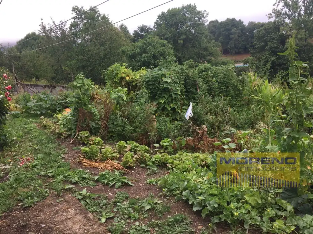 Jardí de Finca rústica en venda en Becerreá