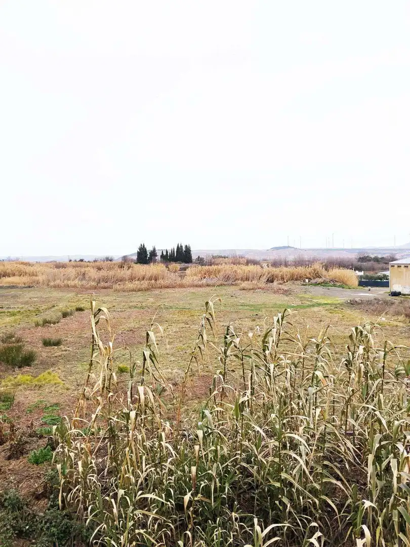 Terreno en venta en Fontellas