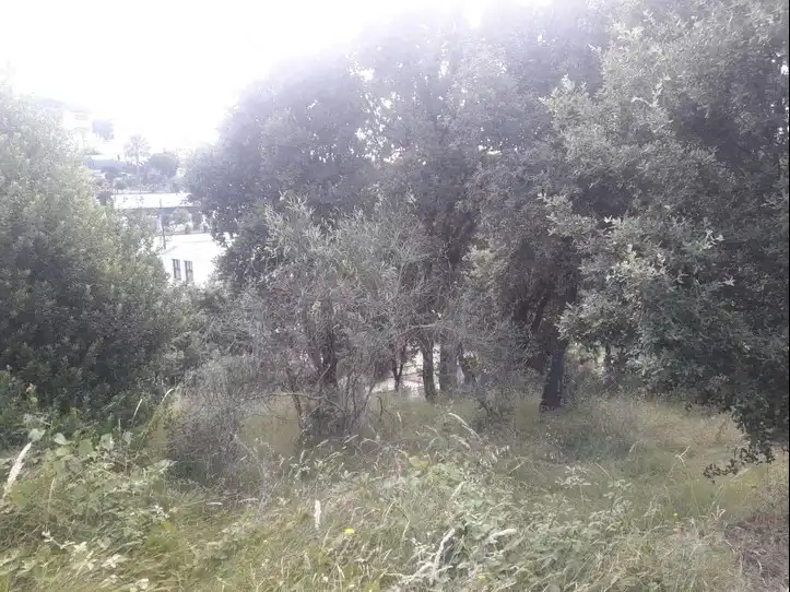 Terreno rústico en venta en Sant Cebrià de Vallalta, imagen 3