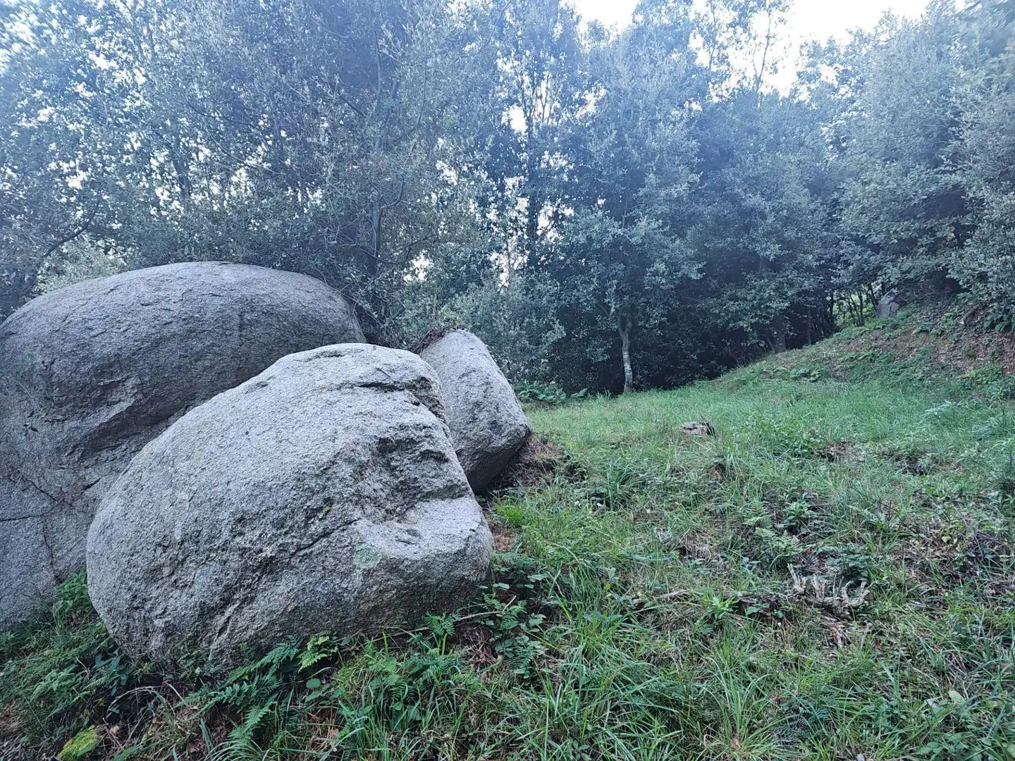 Casa rústica amb jardí en venda a Riells i Viabrea, imagen 40