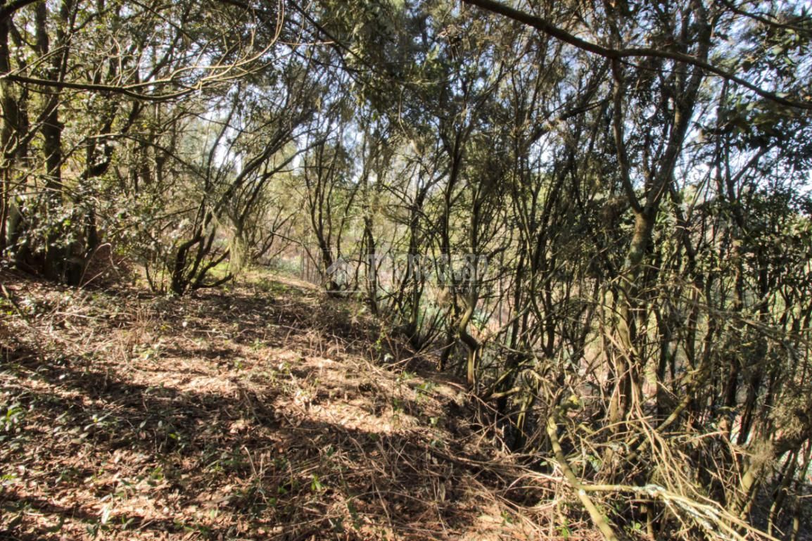 Terreno en venta en El Rosario
