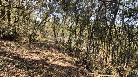 Foto 3 de Terreno en venta en La Esperanza - Llano del Moro, El Rosario