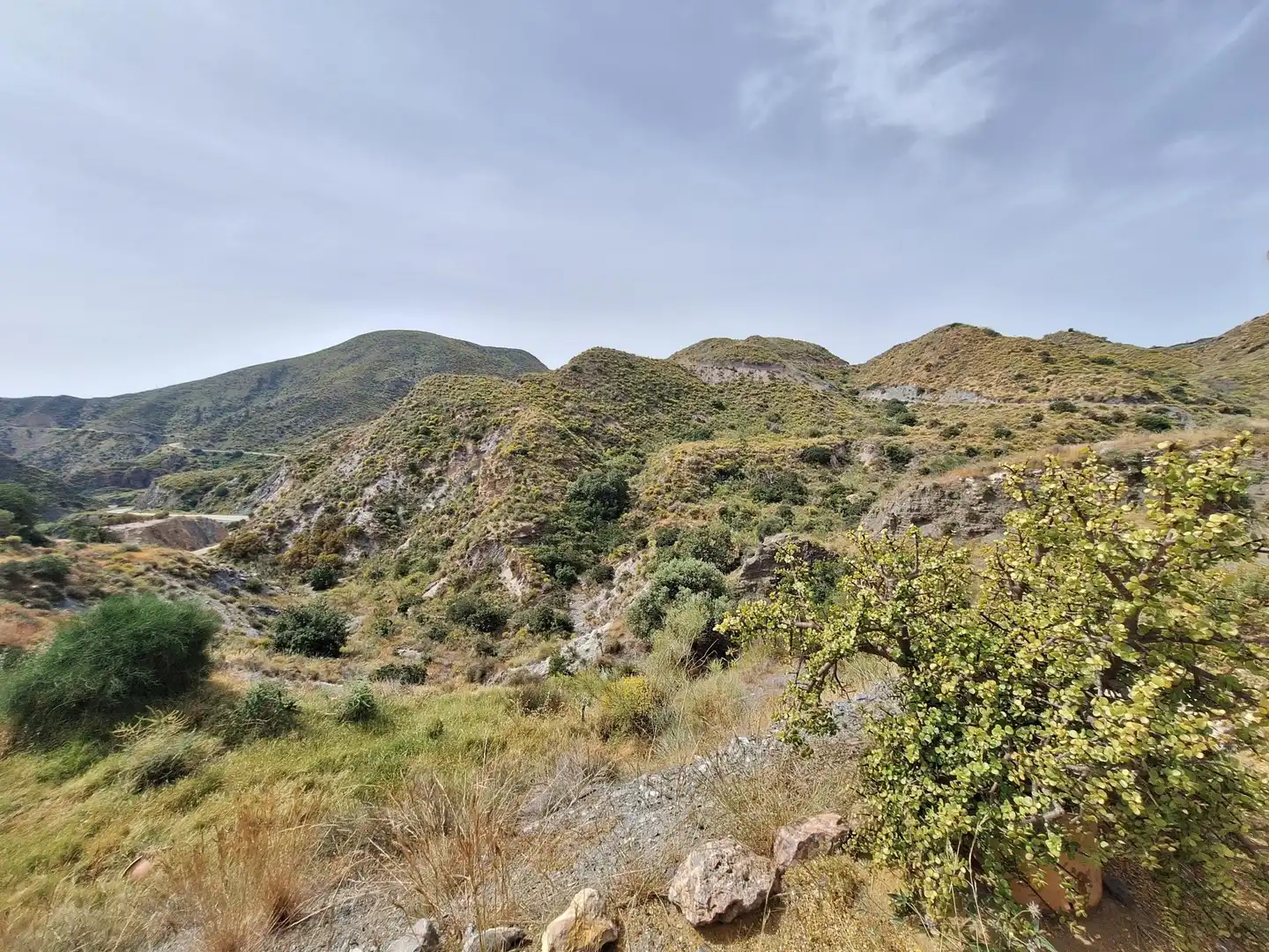 Terrenys i solars en venda a Mojácar Playa - Las Ventanicas - La Paratá, imagen 13
