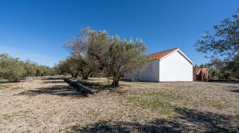 Finca rústica con casa de campo para acabar. No hay ni agua luz., imatge 4
