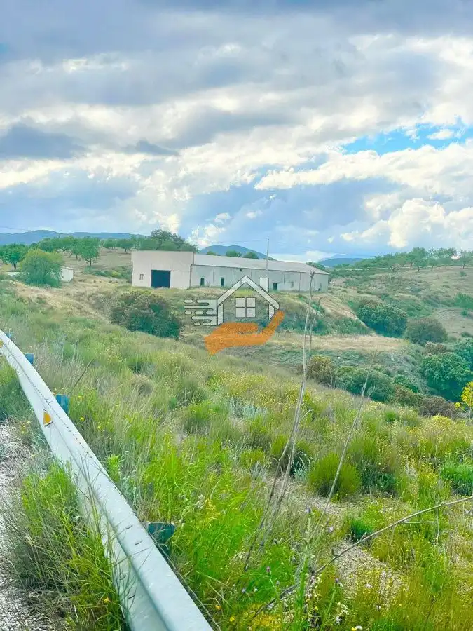 Nave industrial en venta en Vélez-Rubio