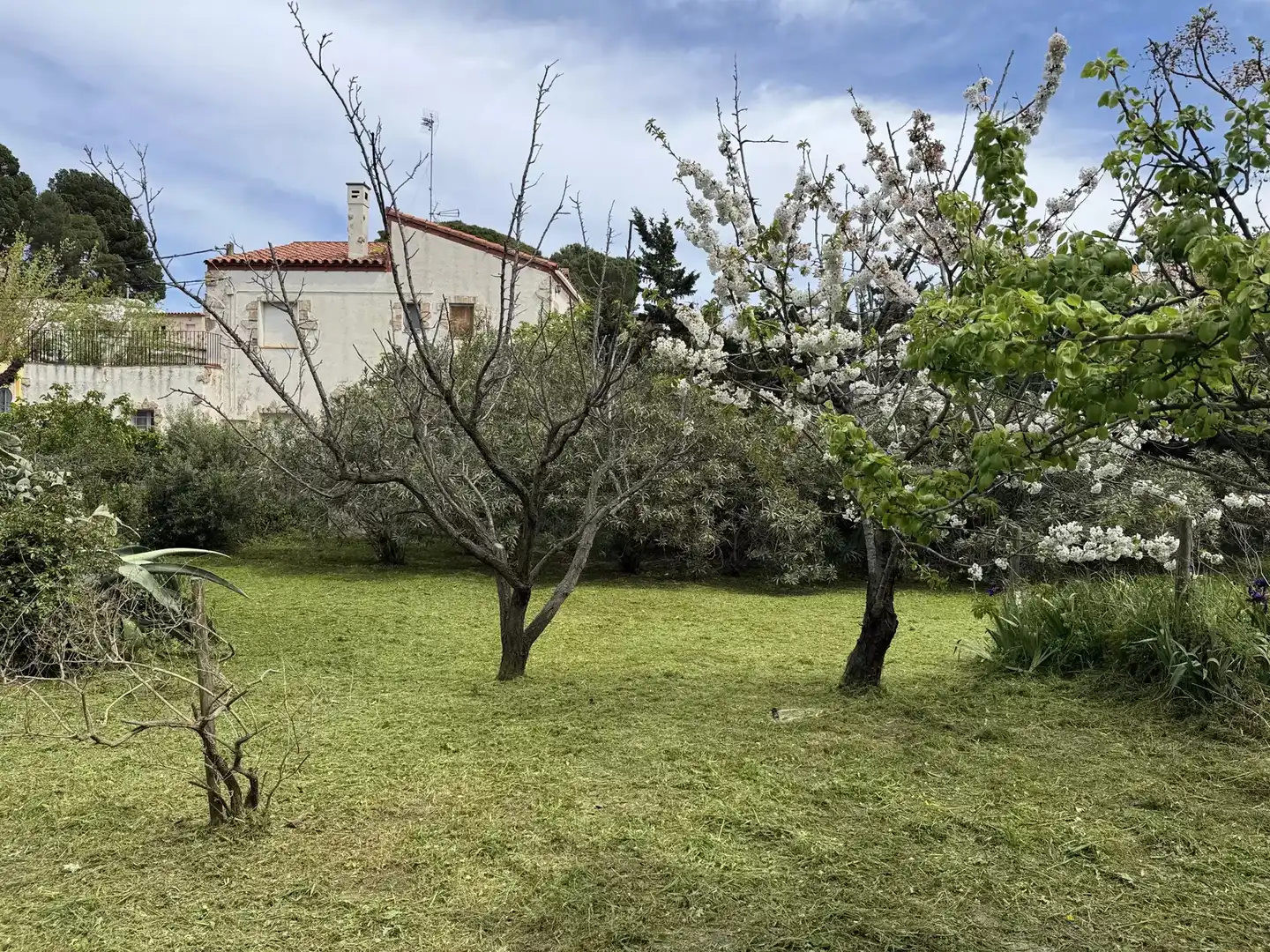Casa o chalet en venta en Colera con Jardín privado y Terraza