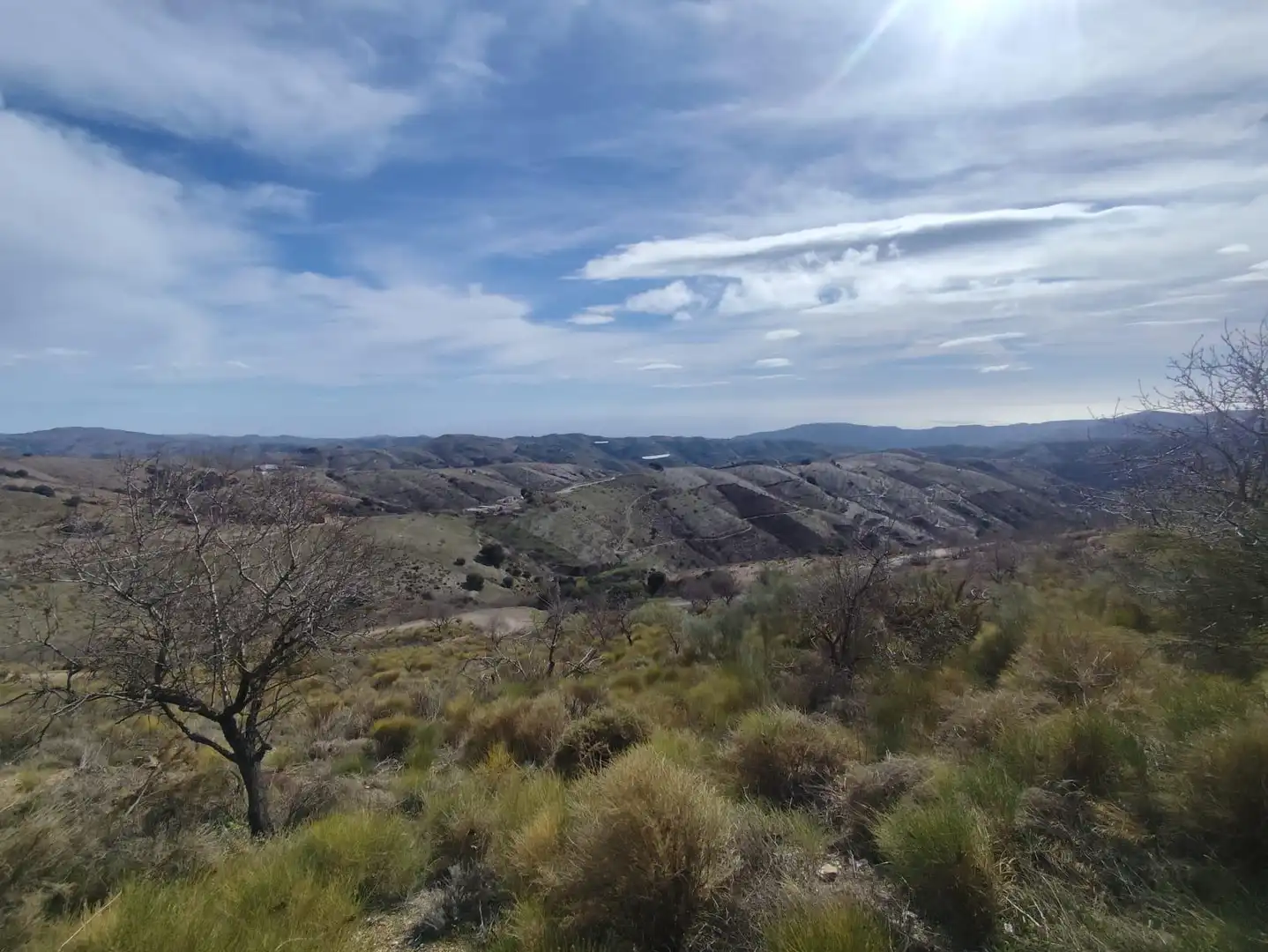 Vista exterior de Finca rústica en venta en Cástaras