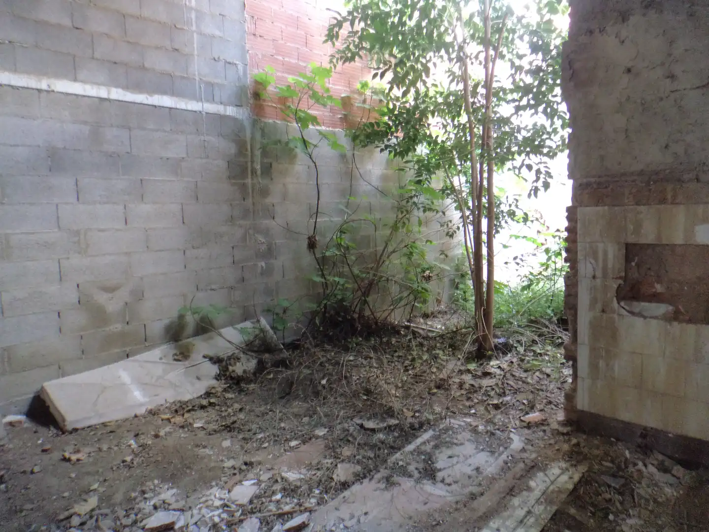 Casa o chalet en venta en Carrer Arquebisbe Fuero, Ayuntamiento - El Salvador