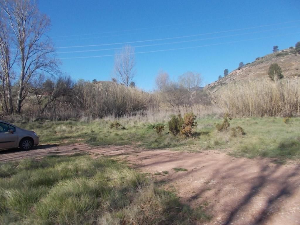 Land for sale in Jarafuel