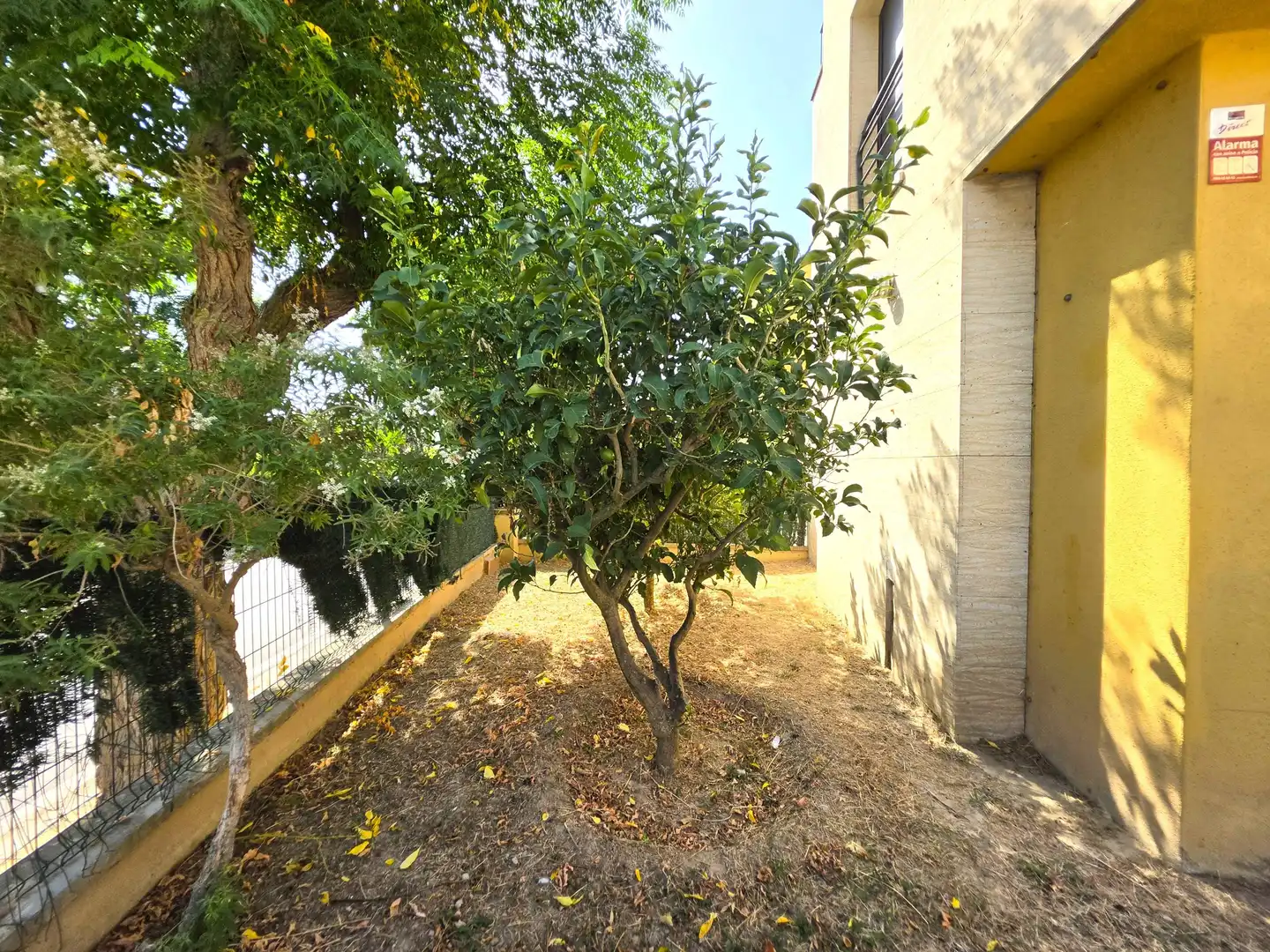 Casa con terraza en venta en Urbanizacion OLOT, imagen 23