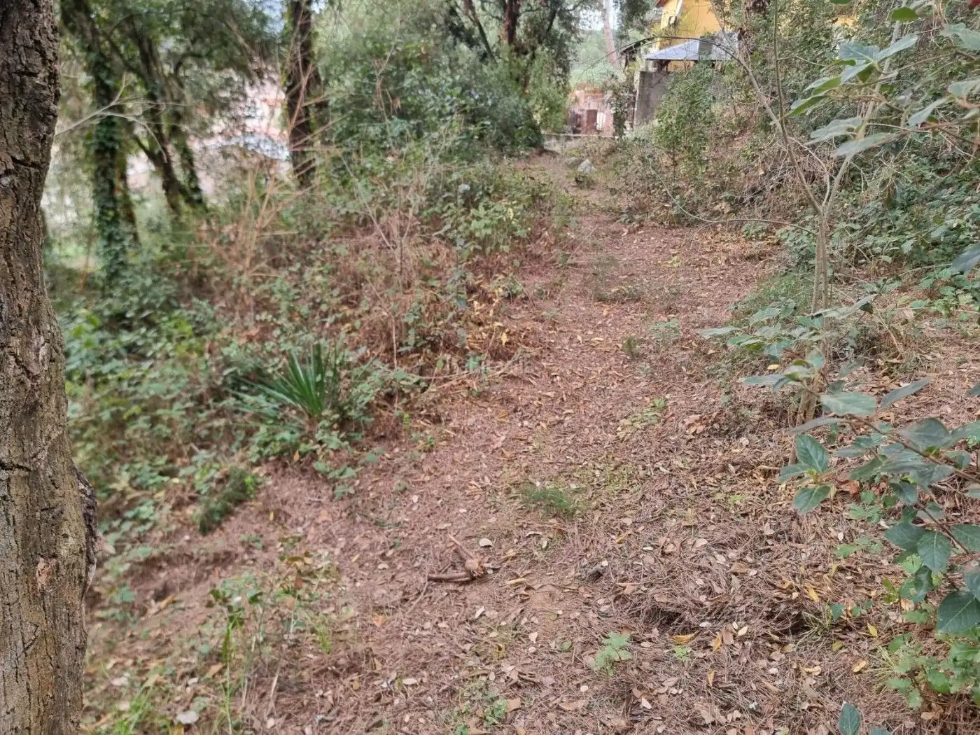 Residential for sale in Canyamars