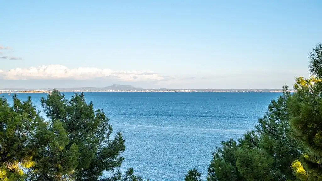Apartments for sale in Calvià  with Terrace and Storage room