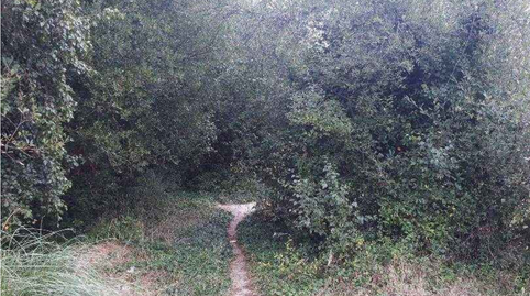 Foto 5 de Residencial en venda a Vilaboa, Poligono Ua-30, Vilaboa Sur, A Coruña