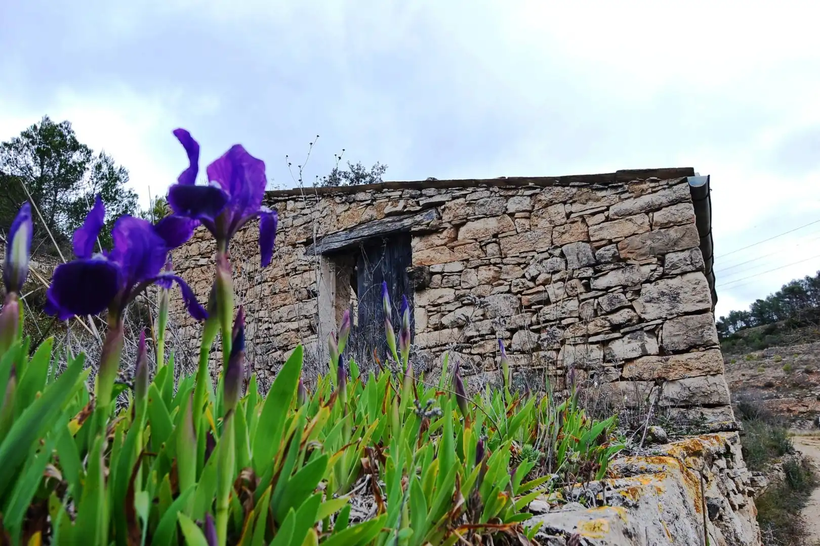 Vista exterior de Terreno en venta en Vilalba dels Arcs