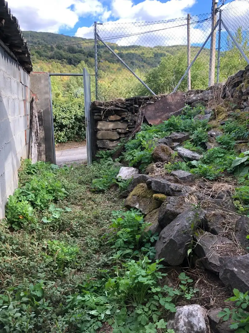 Jardí de Casa o xalet en venda en Páramo del Sil, León