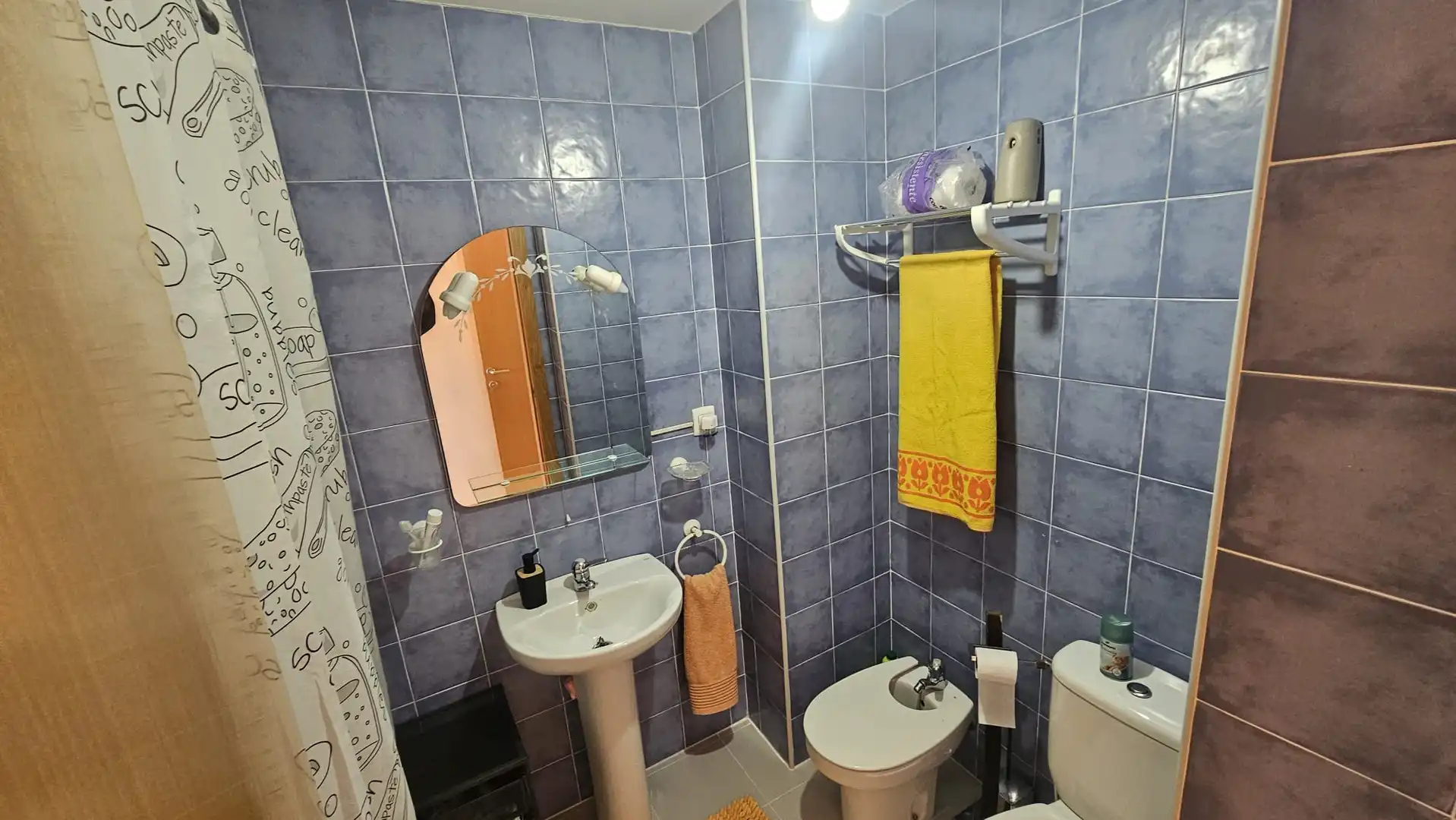 Baño de Ático en venta en Alcalà de Xivert con Aire acondicionado, Calefacción y Jardín privado