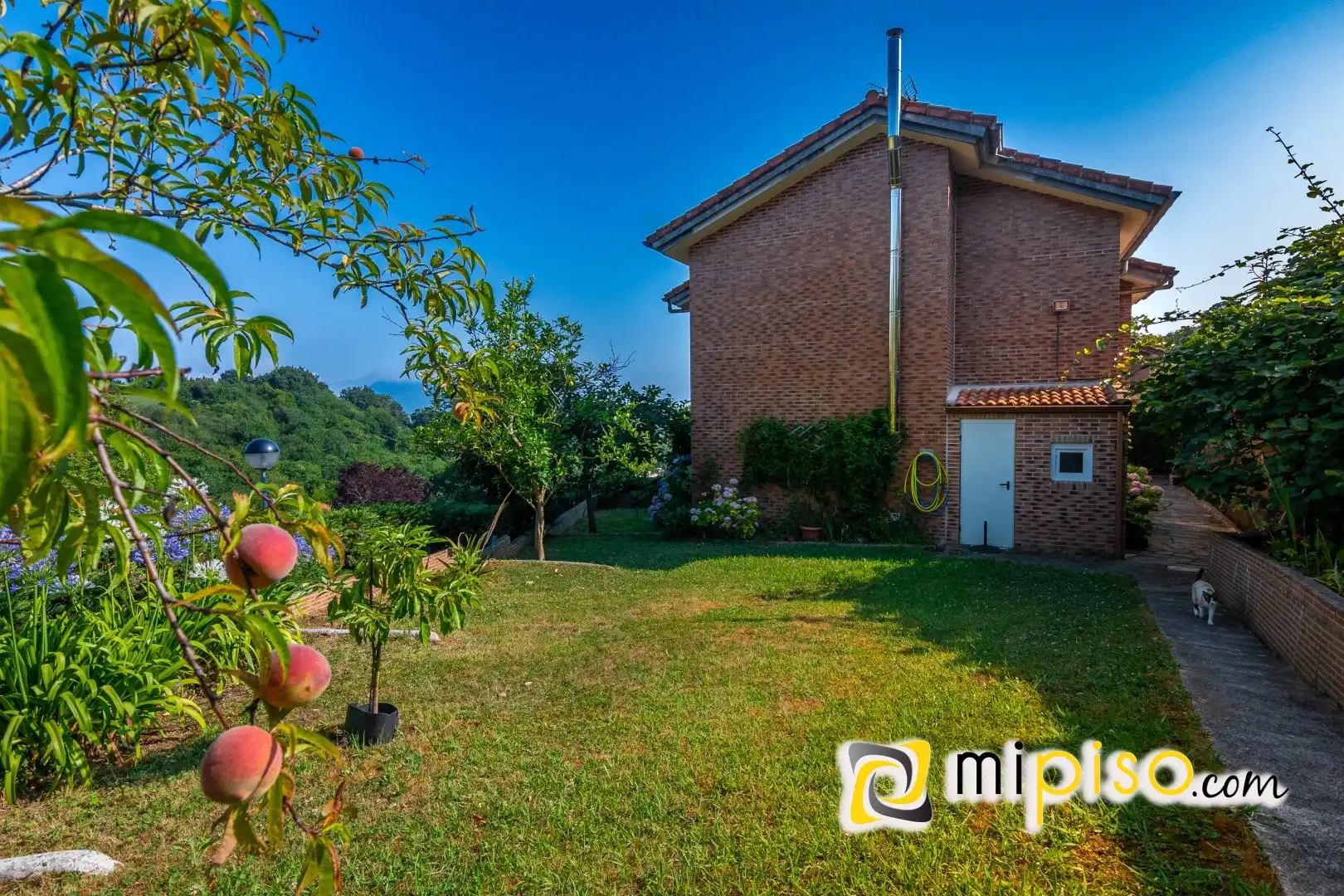 Xalet amb piscina en venda a Limpias