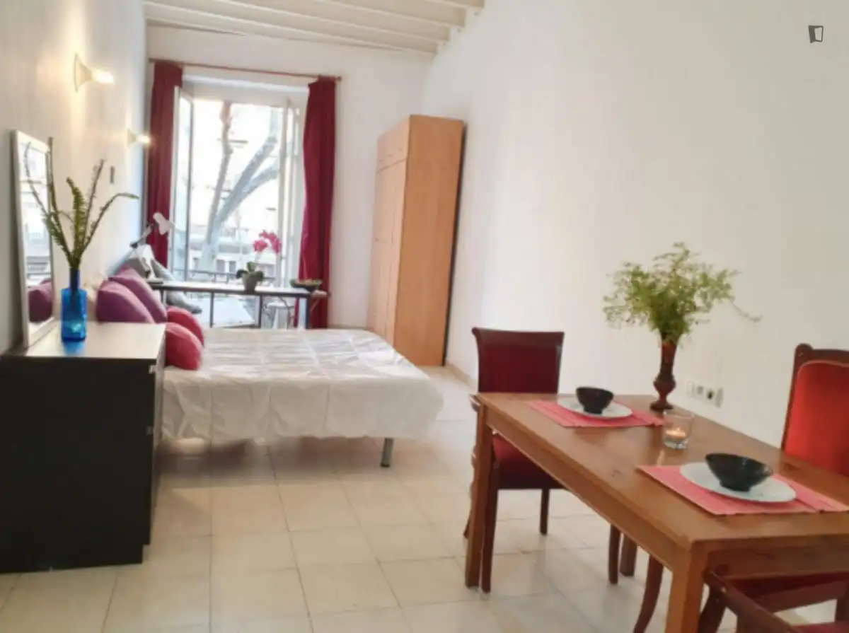 Studio zur Miete in Ciutat Vella, imagen 2