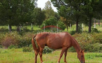 Land for sale in Villamanrique de la Condesa