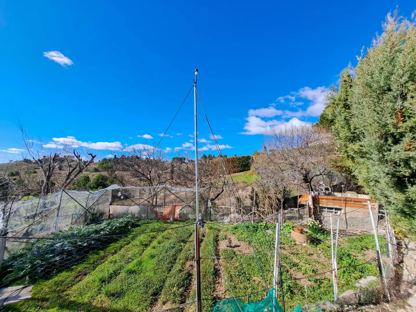 Jardí de Casa o xalet en venda en Chinchón amb Calefacció, Jardí privat i Terrassa
