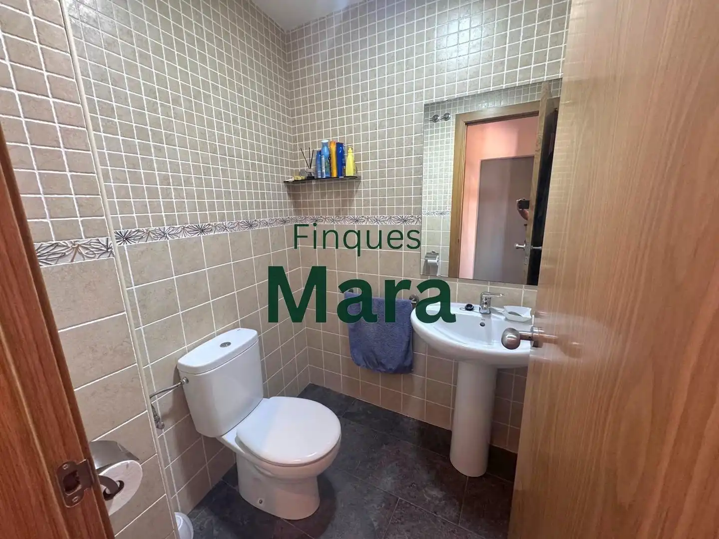 Baño de Casa o chalet en venta en Sant Boi de Llobregat con Aire acondicionado, Calefacción y Jardín privado