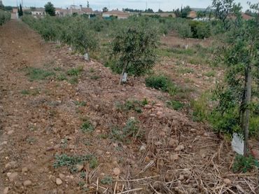 Terreno rustico in vendita a La Carlota