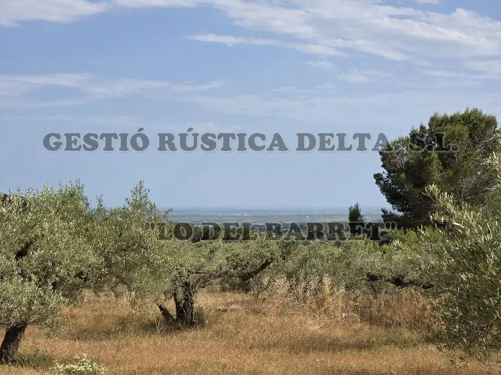 Finca rústica en venda en El Perelló