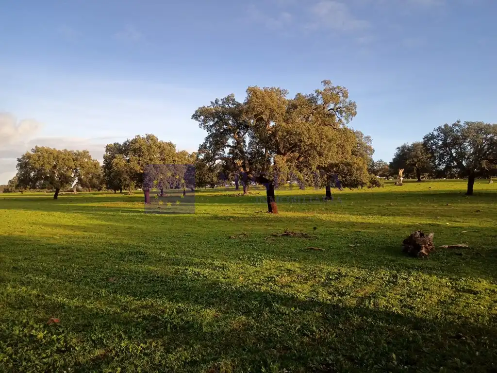 Casa o xalet en venda a Oeste