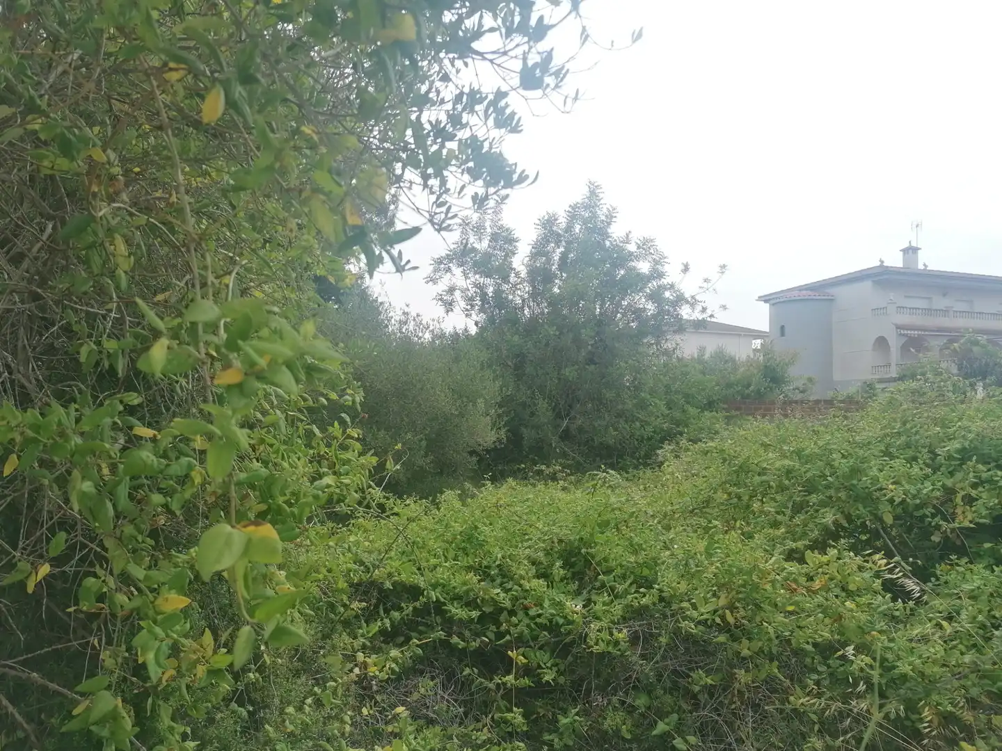 Wohnbaugrundstück zum Verkauf in Carrer Felip Pedrell 3, imagen 11