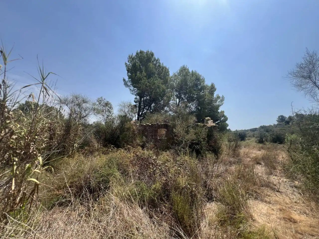 Rural land for sale in Camino Aleixar 15, imagen 16