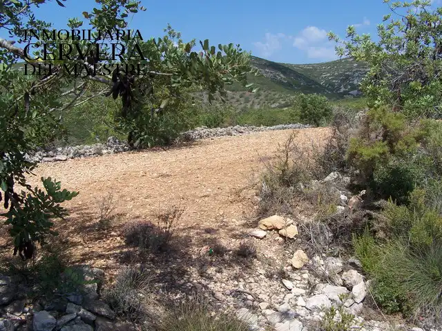 Rural land for sale in Cervera del Maestre, imagen 10