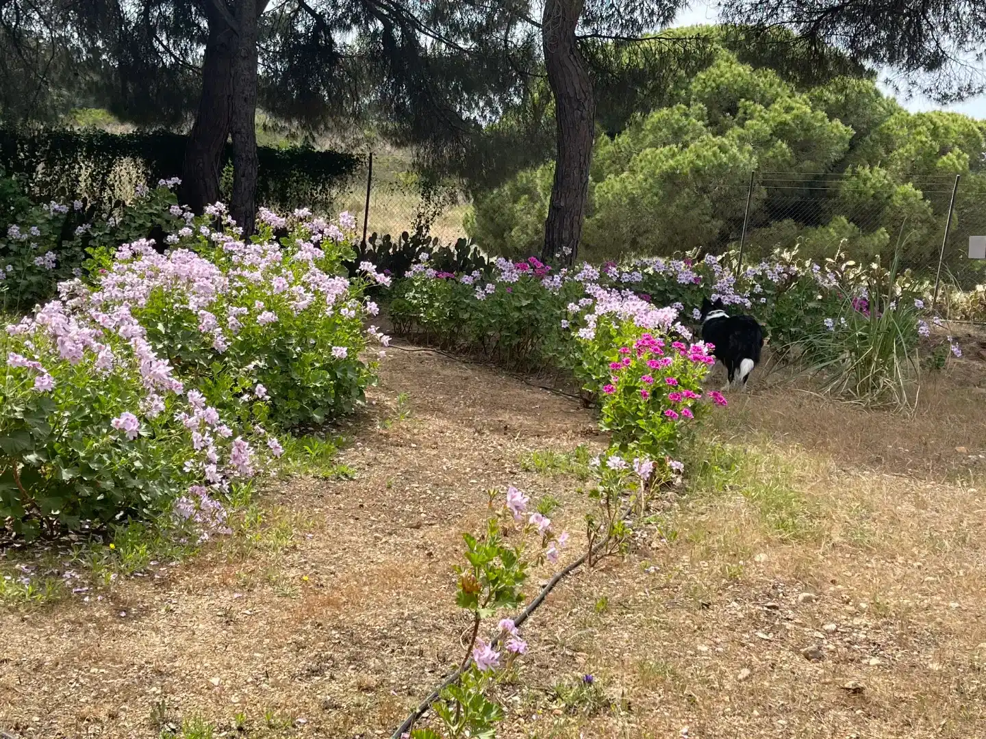 Jardín de Piso en venta en Isla Cristina con Aire acondicionado, Jardín privado y Trastero