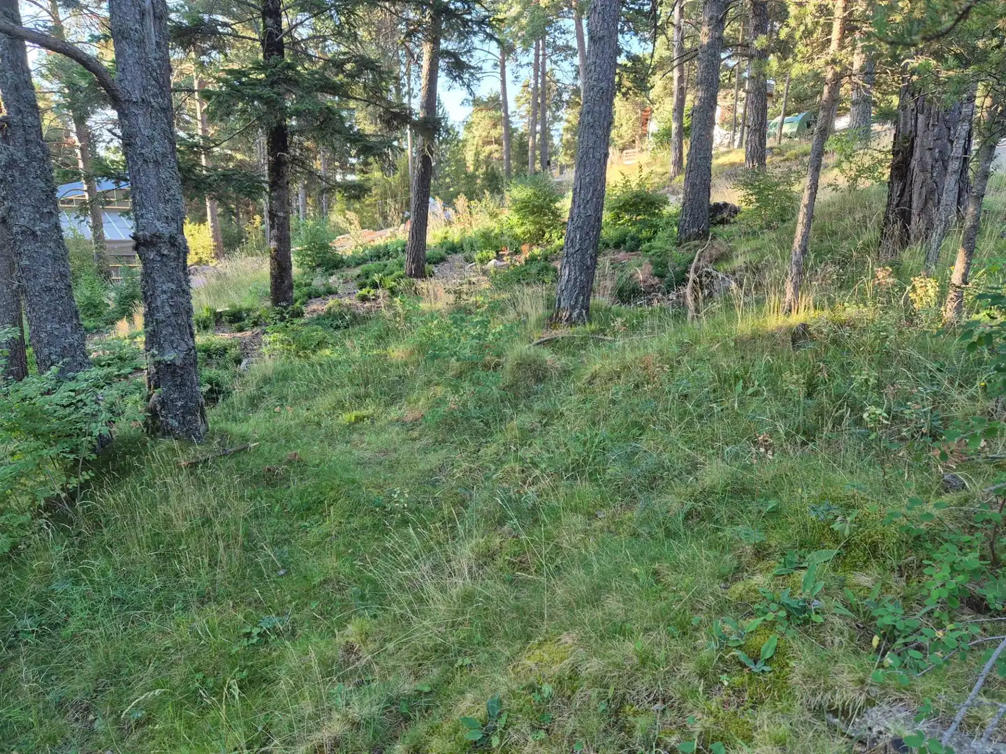 Grundstücke und Bauplätze zum Verkauf in Carrer Fornet, imagen 4