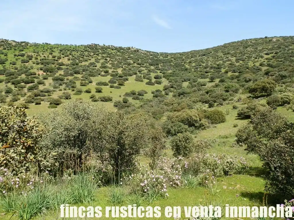Rural land for sale in Calzada de Calatrava, imagen 21