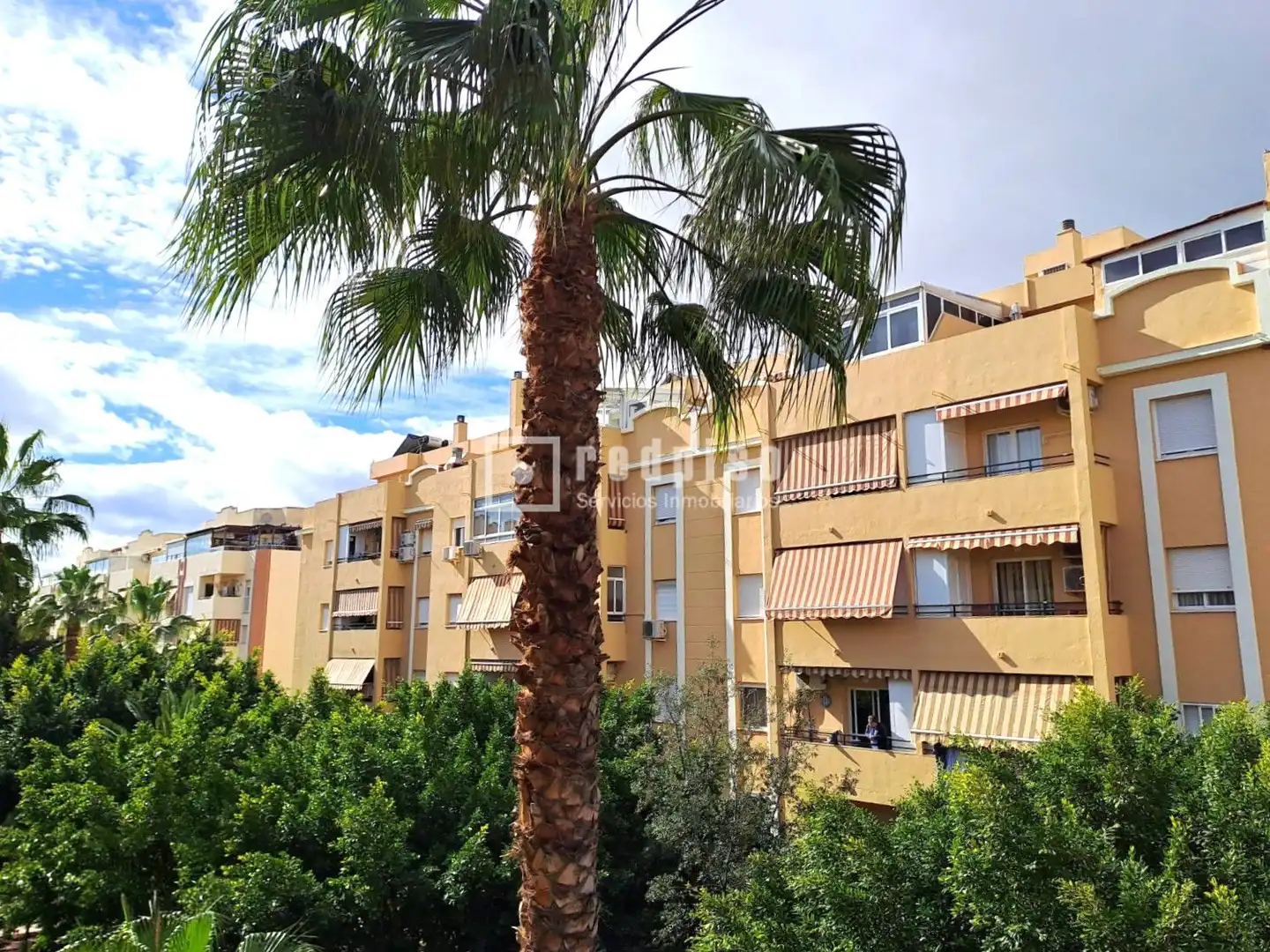 Flat for sale in Cortijo Alto